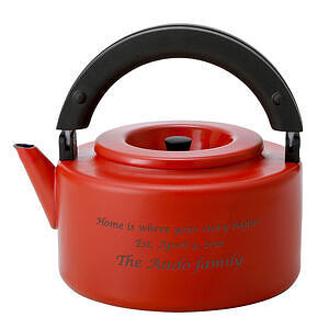 珐琅茶壶烧水壶煮茶器 红色