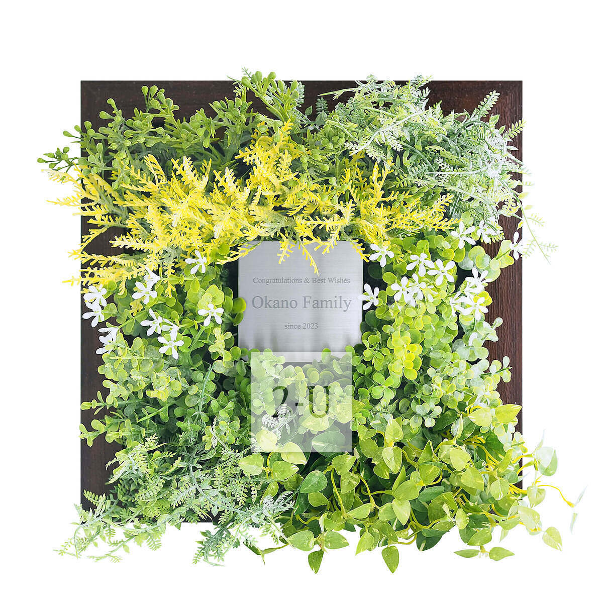 CT触媒绿植艺术画框 棕色