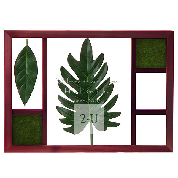 喜林芋叶立体画框