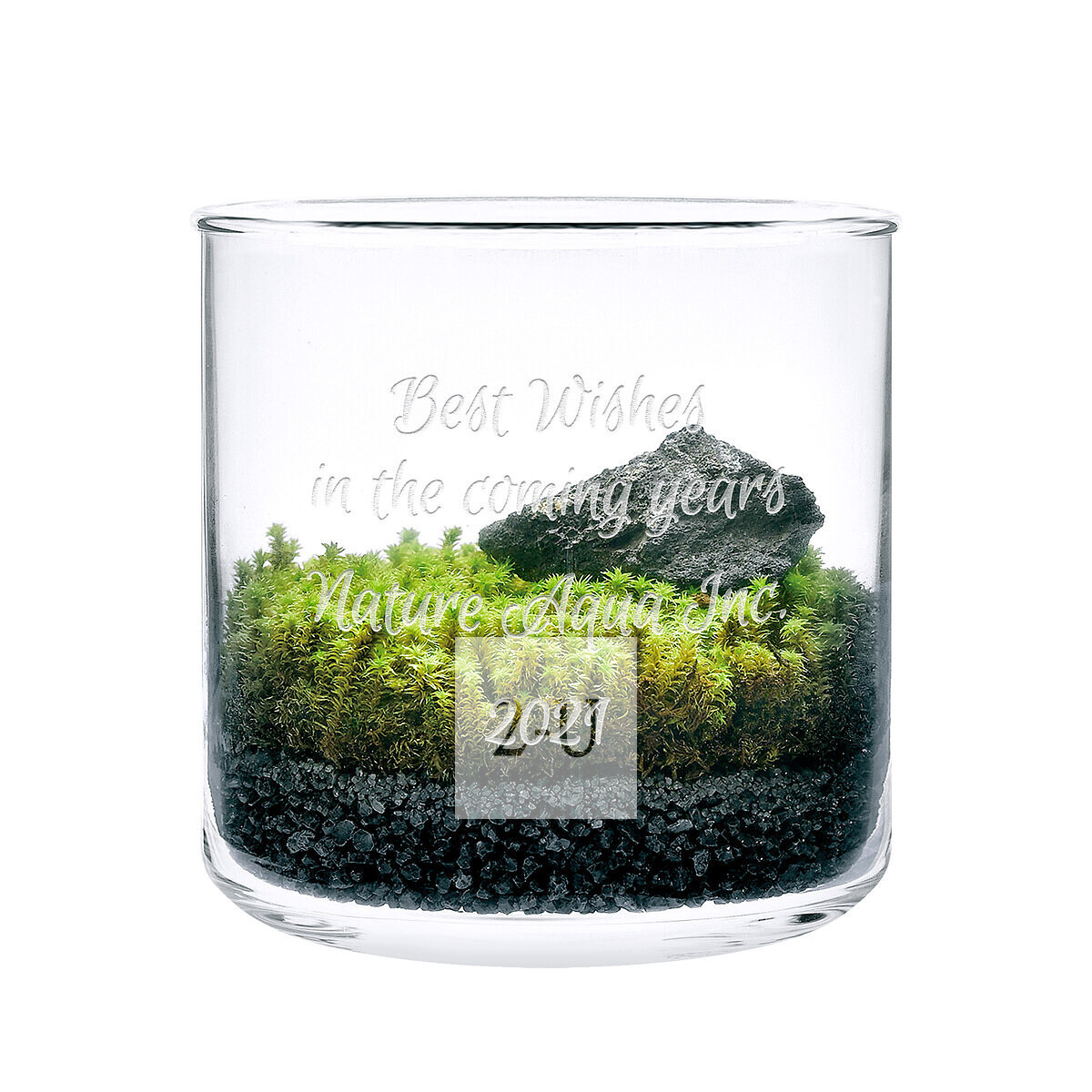 苔藓微景观DIY套装 L