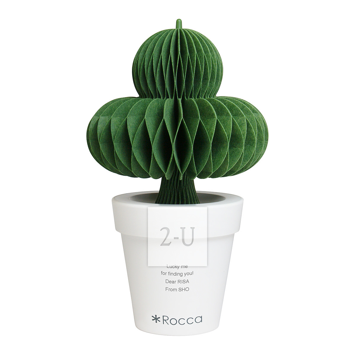 环保节能自然加湿器 盆栽仙人球