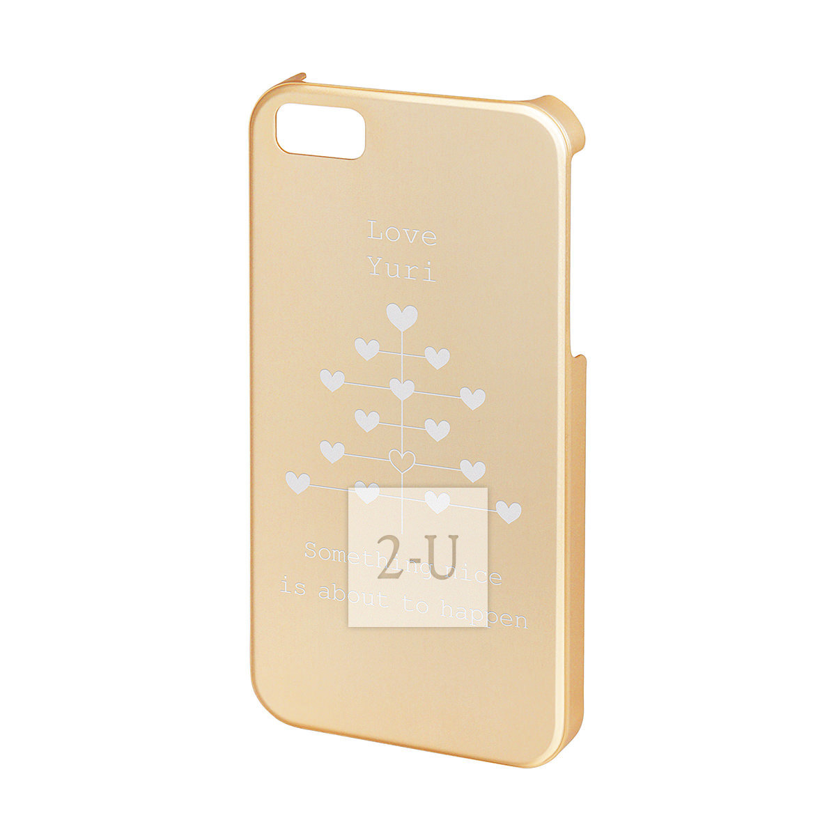 iPhone SE/5s/5 高品质手机壳diy铝机身外壳 香槟金色