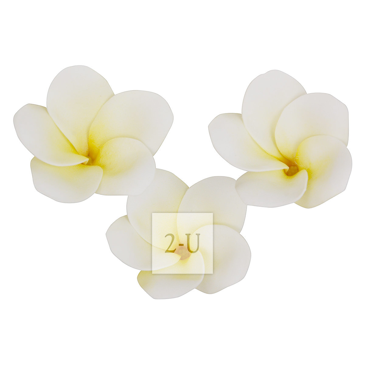 仿真人造 Plumeria 鸡蛋花磁铁吸附家居装饰 淡黄色