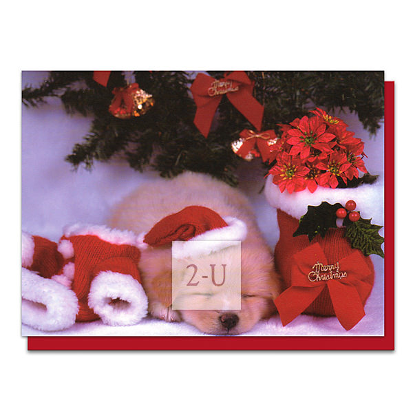 圣诞节小狗贺卡