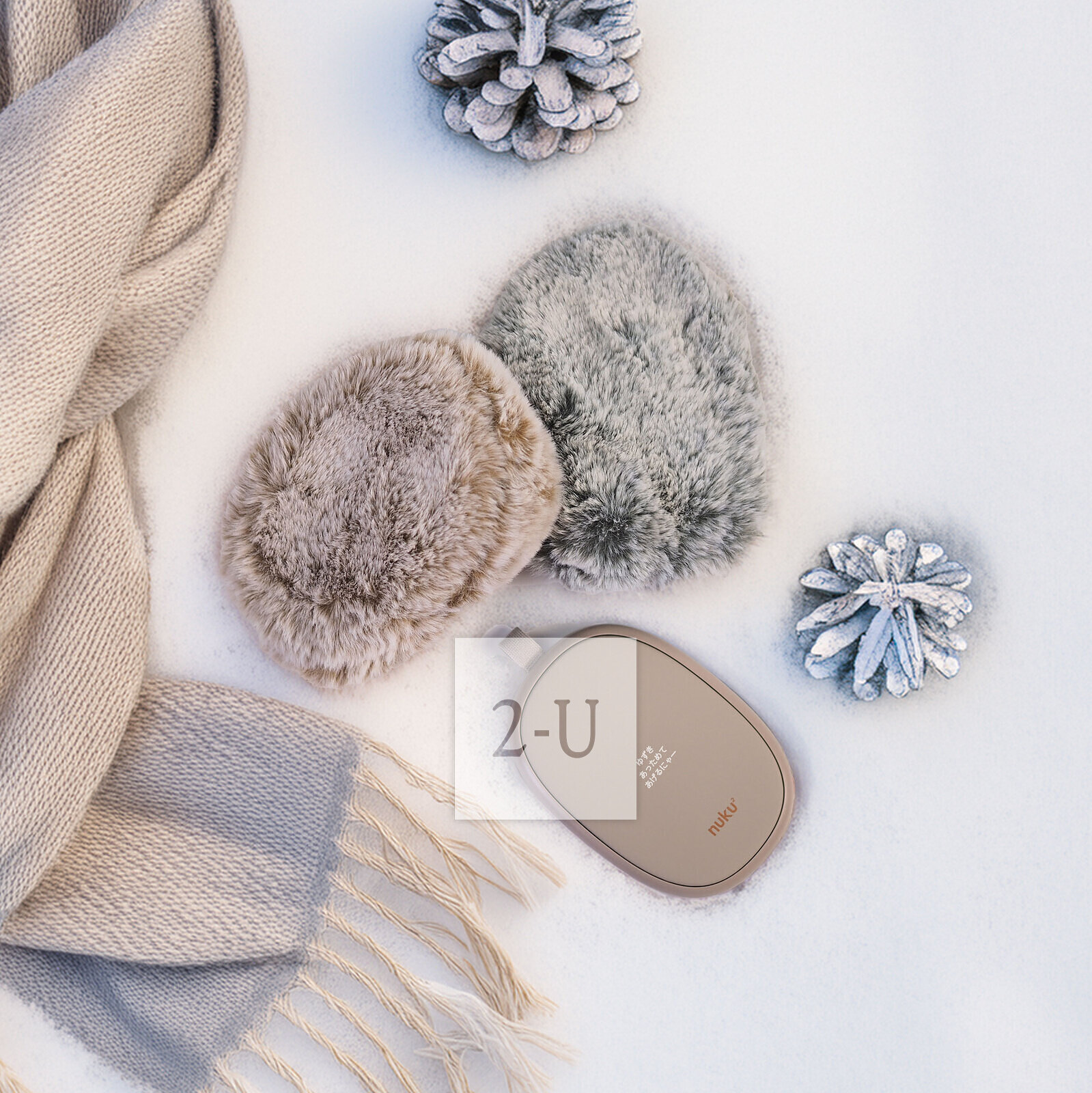 猫咪、她还有我。