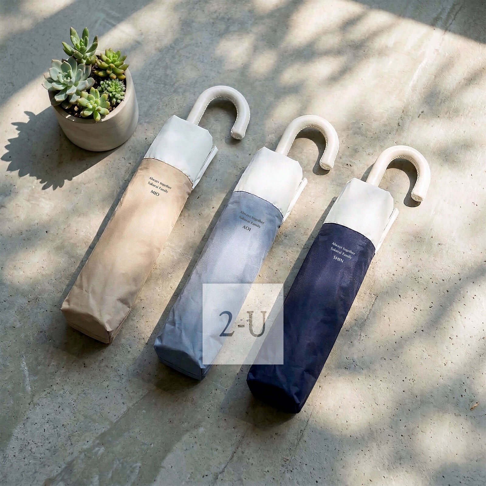 搬新家，纸巾也换新装