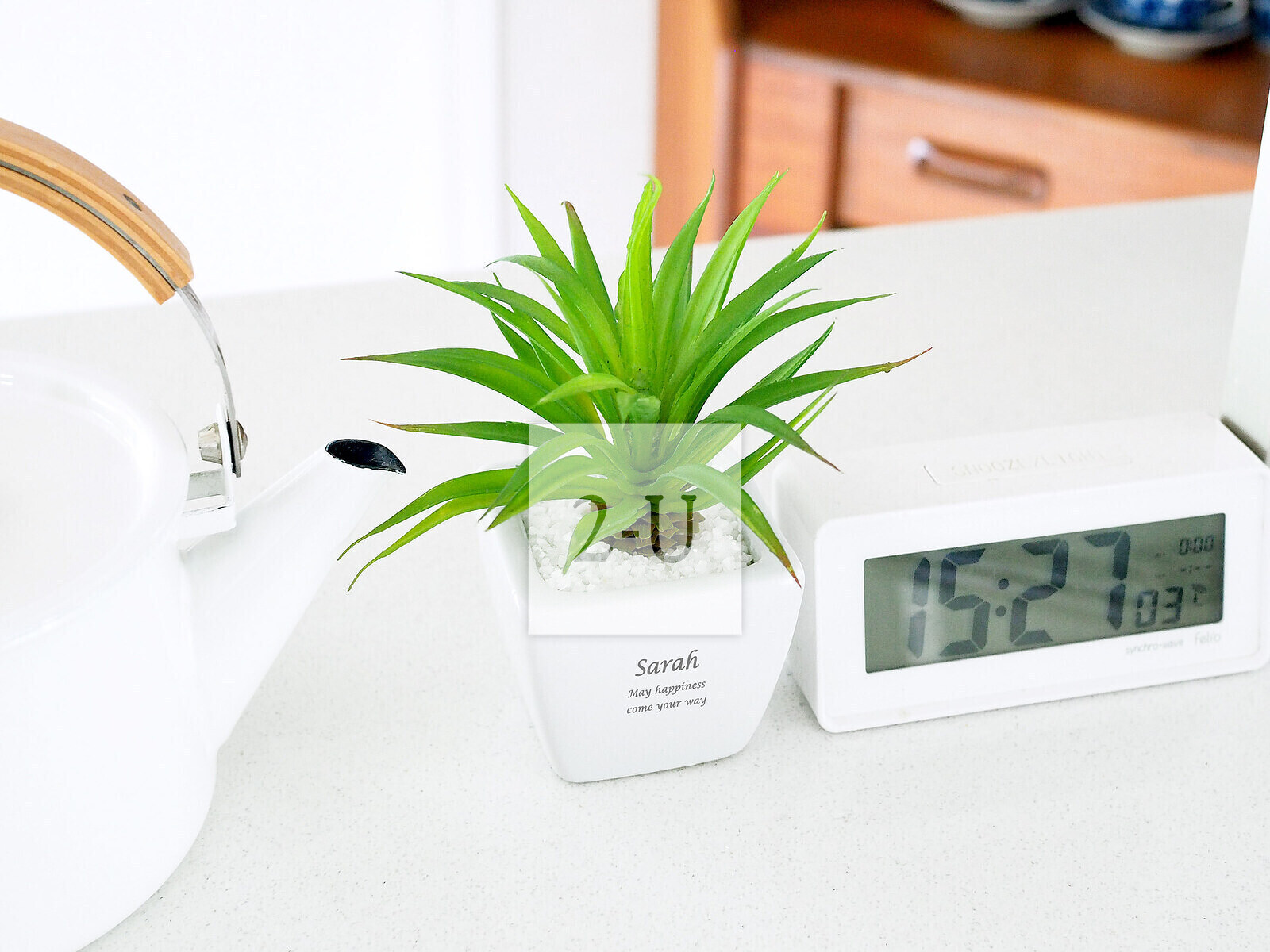 守护清新空气的结婚贺礼