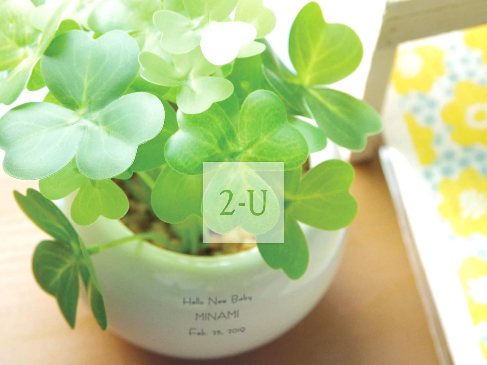 祝你好运！！传递幸运的纪念品