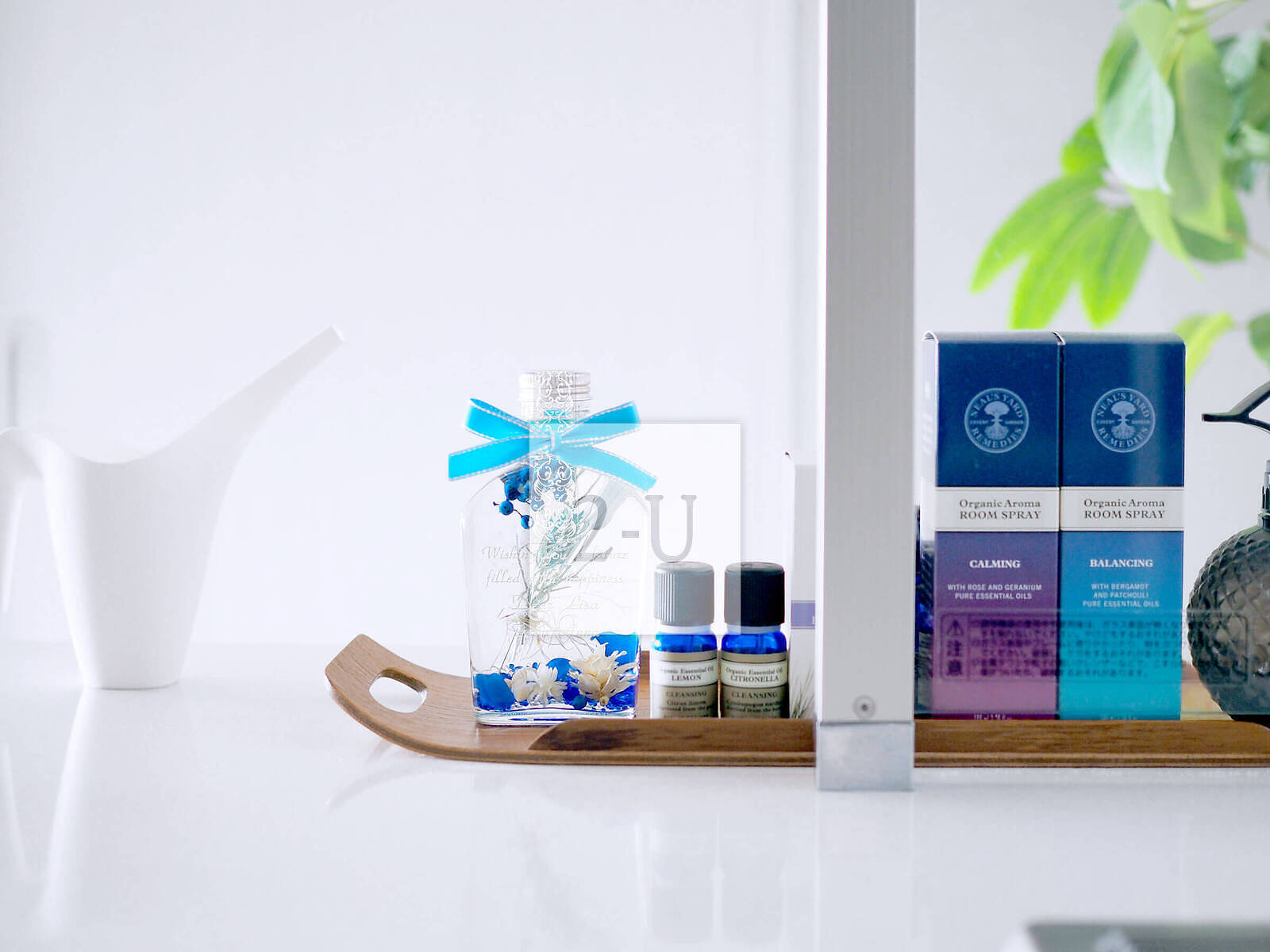 致27岁的她：一万日生日的浪漫奇迹