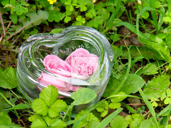 倾心之礼，真心之约，开启真挚求婚