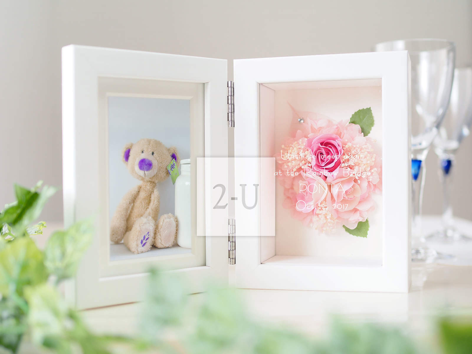 直到我们在彩虹桥畔再次相逢的那一天