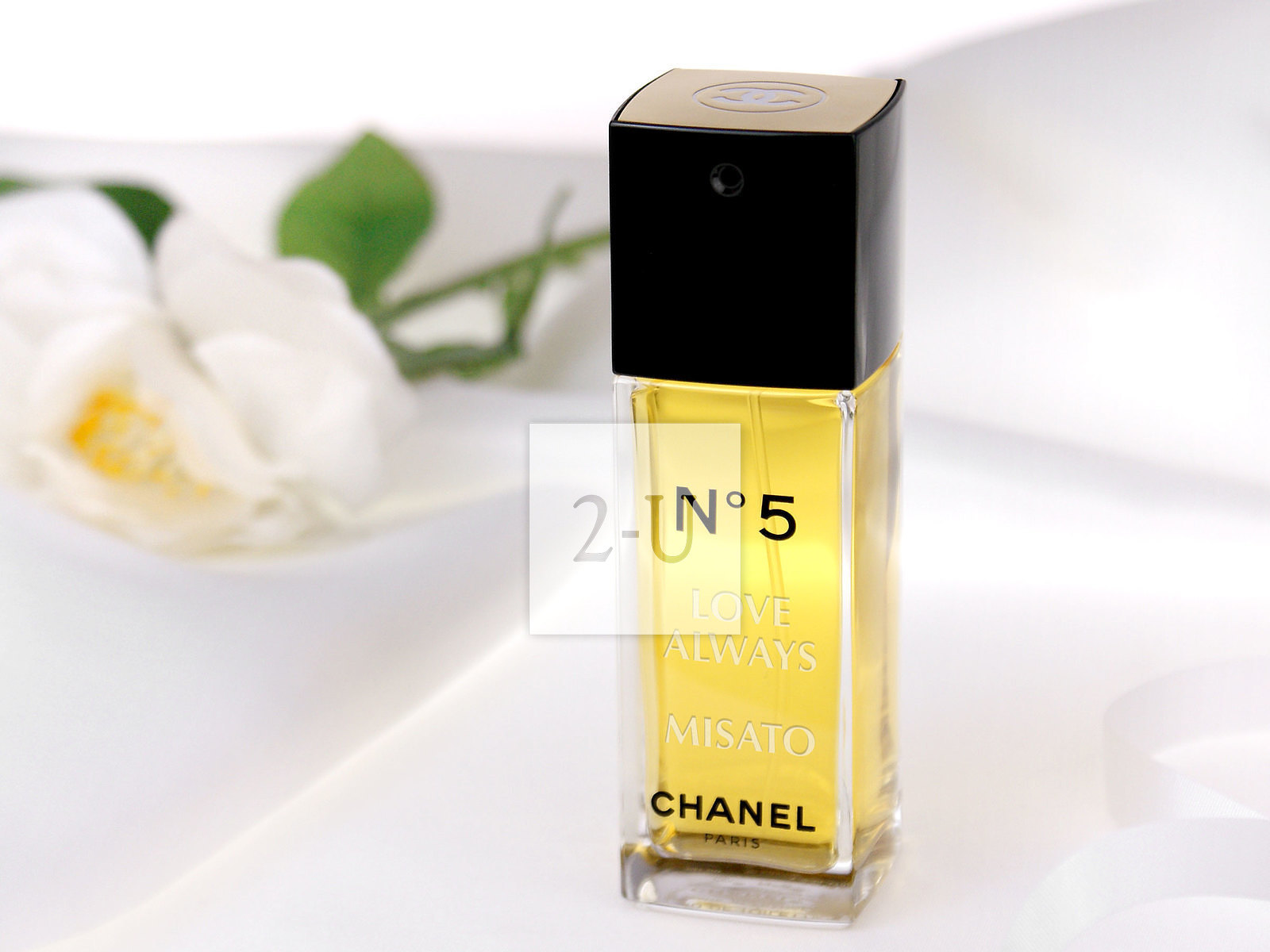 老师，你是我的梦中情人