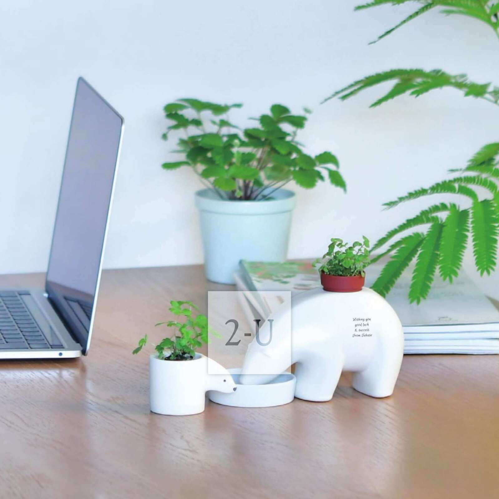 传达心意是发送消息？还是送出好礼！