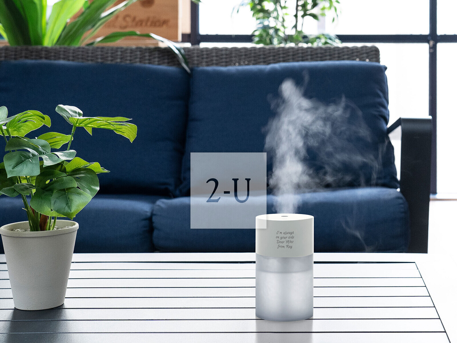 在干燥的季节，回赠一份滋润