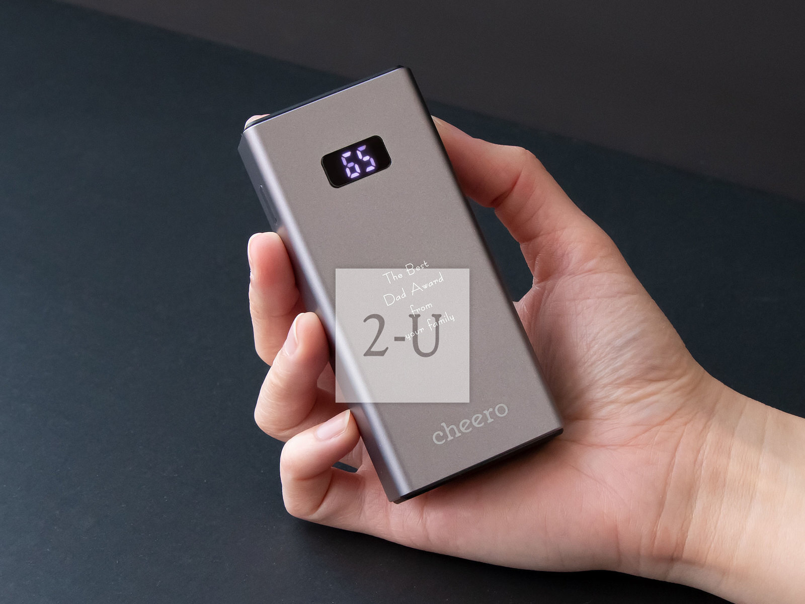 自带安全感充电宝