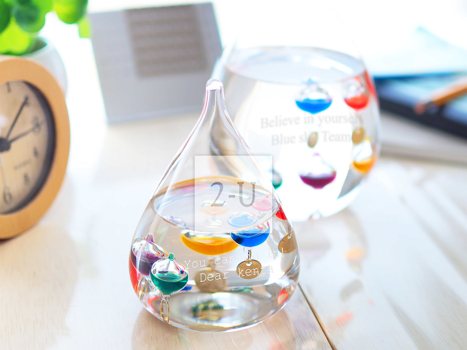 环保时尚的生日礼物