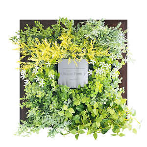 CT触媒绿植艺术画框 棕色