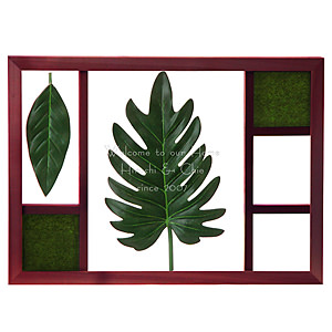 喜林芋叶立体画框