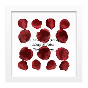 玫瑰花瓣透明框 红