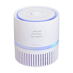 Fjord 节能 HEPA 高效过滤网空气净化机