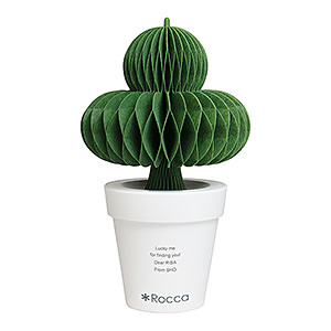 环保节能自然加湿器 盆栽仙人球