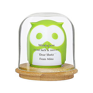 猫头鹰螺丝刀头收纳盒 绿色