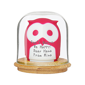 猫头鹰螺丝刀头收纳盒 红色