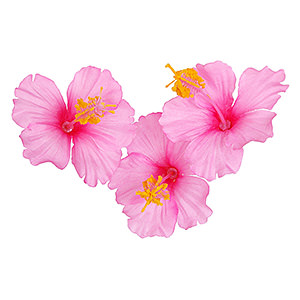 仿真花人造花磁铁吸附家居装饰 粉红芙蓉