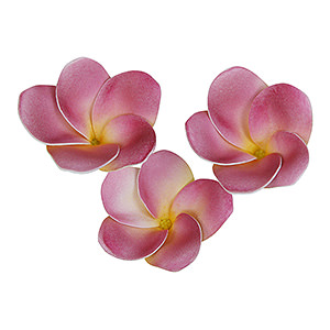 仿真人造 Plumeria 鸡蛋花磁铁吸附家居装饰 紫红色