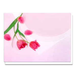 桃红郁金香贺卡