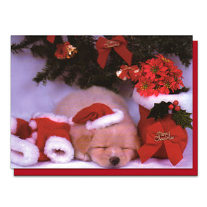 圣诞节小狗贺卡