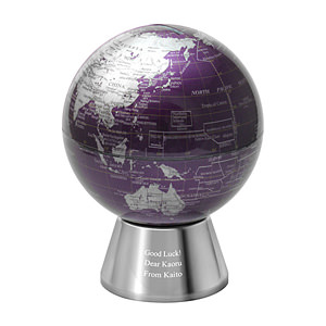 紫色地球仪存钱罐