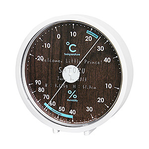 Ashley 温度计湿度计