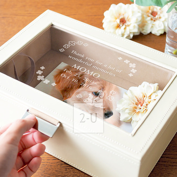 宠物纪念品 创意 1389862087