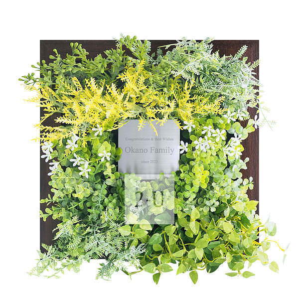 CT触媒绿植艺术画框 棕色