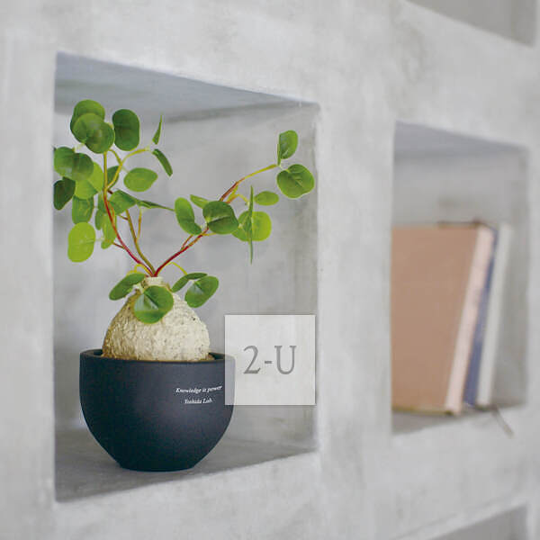 毕业纪念 创意 1412999692