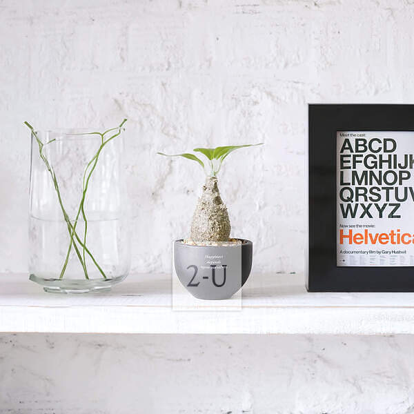 开业庆典 创意 1273655682