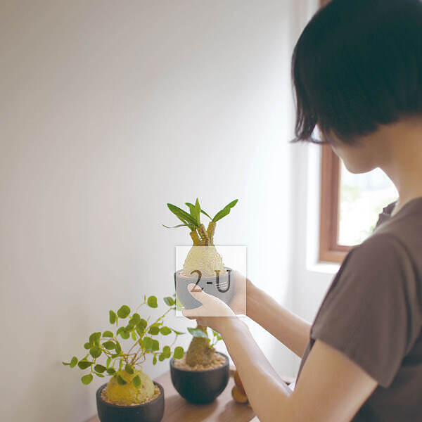 乔迁新居落成 创意 1523528002