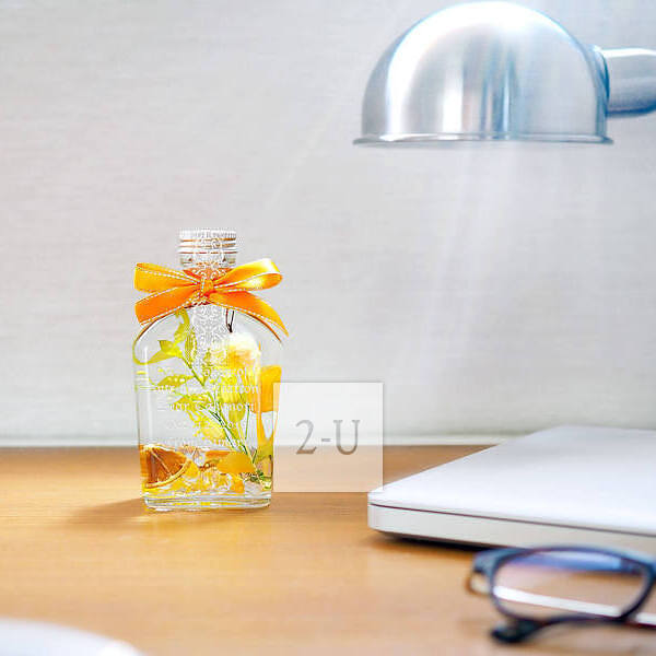 宠物纪念品 创意 1389863424