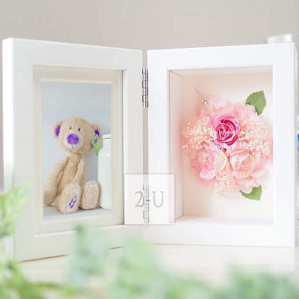 宠物纪念品 创意 1471489469