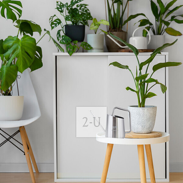 生子满月 创意 1334731048