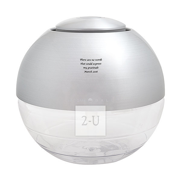 空气清新机 L 银色