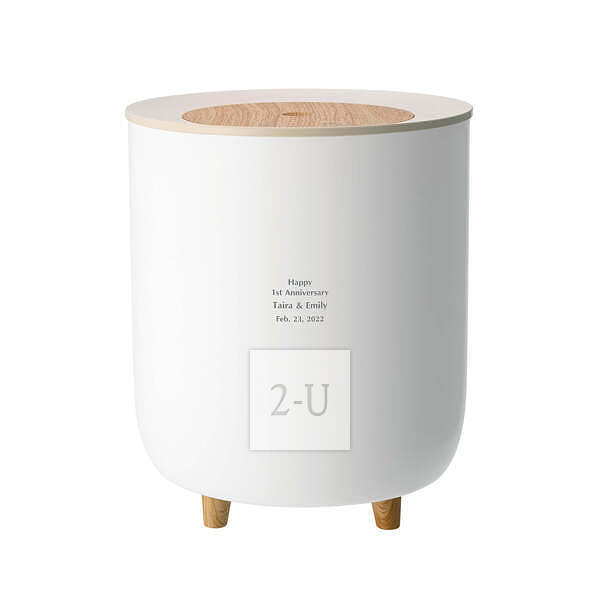 无线加湿器 雾化 白色