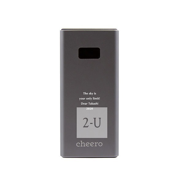 移动电源 Power Plus 金属灰