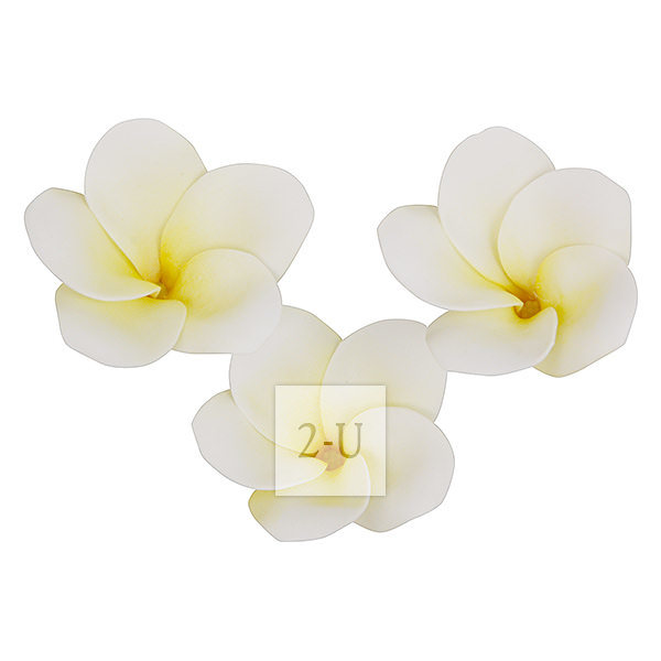 仿真人造 Plumeria 鸡蛋花磁铁吸附家居装饰 淡黄色