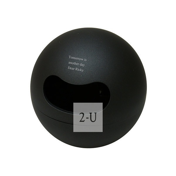 球形小纸巾罐 黑色