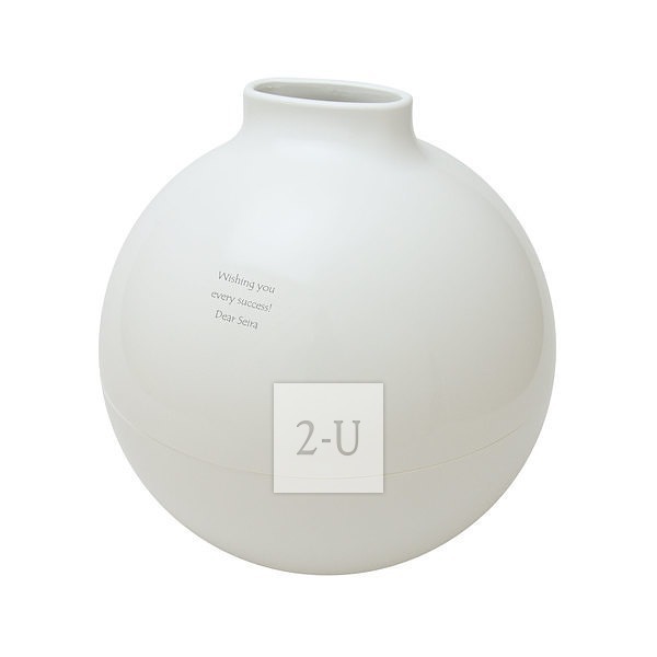 球形大纸巾罐 白色